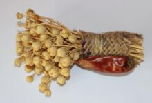 خواص اسپند برای اسهال