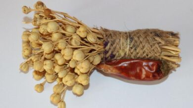 خواص اسپند برای اسهال