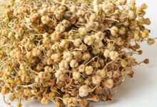 خواص اسپند برای فشار خون