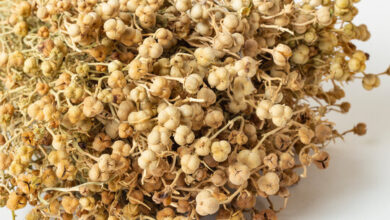 خواص اسپند برای فشار خون