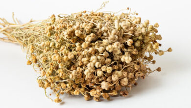 خواص اسپند برای قلب