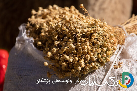 خواص اسپند برای ریزش مو