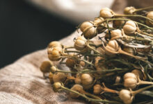 خواص اسپند برای ریه