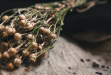 خواص اسپند برای روده