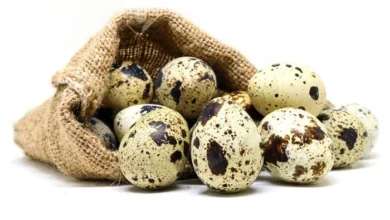 خواص تخم بلدرچین برای زنان