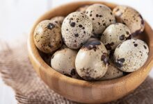 خواص تخم بلدرچین برای پوست