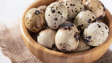 خواص تخم بلدرچین برای پوست