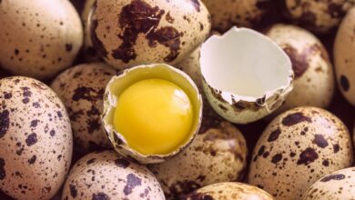 خواص تخم بلدرچین برای بدنسازی