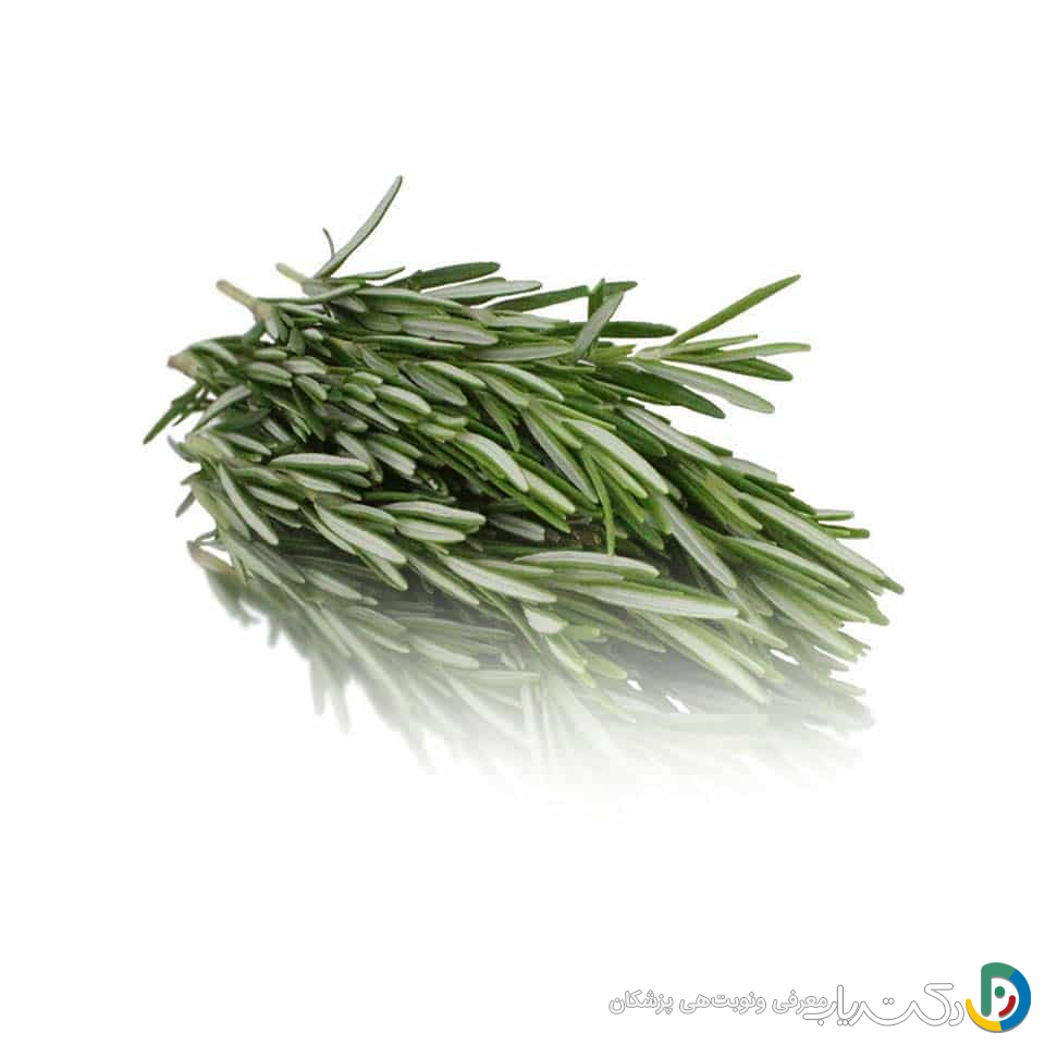 خواص رزماری برای رحم