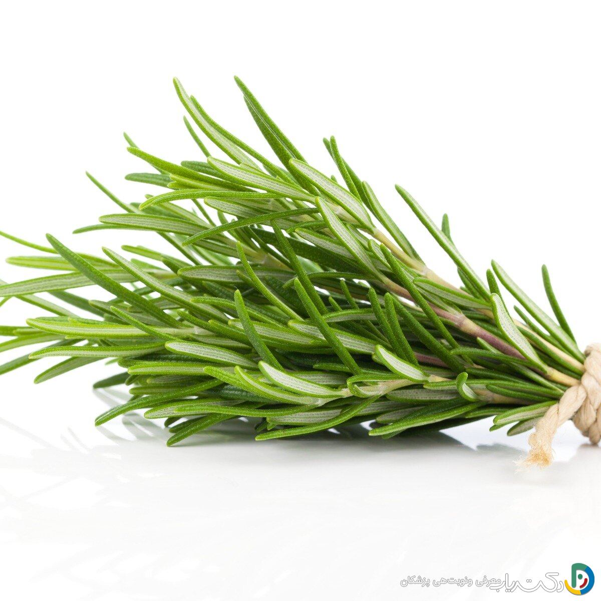 خواص رزماری برای پوست