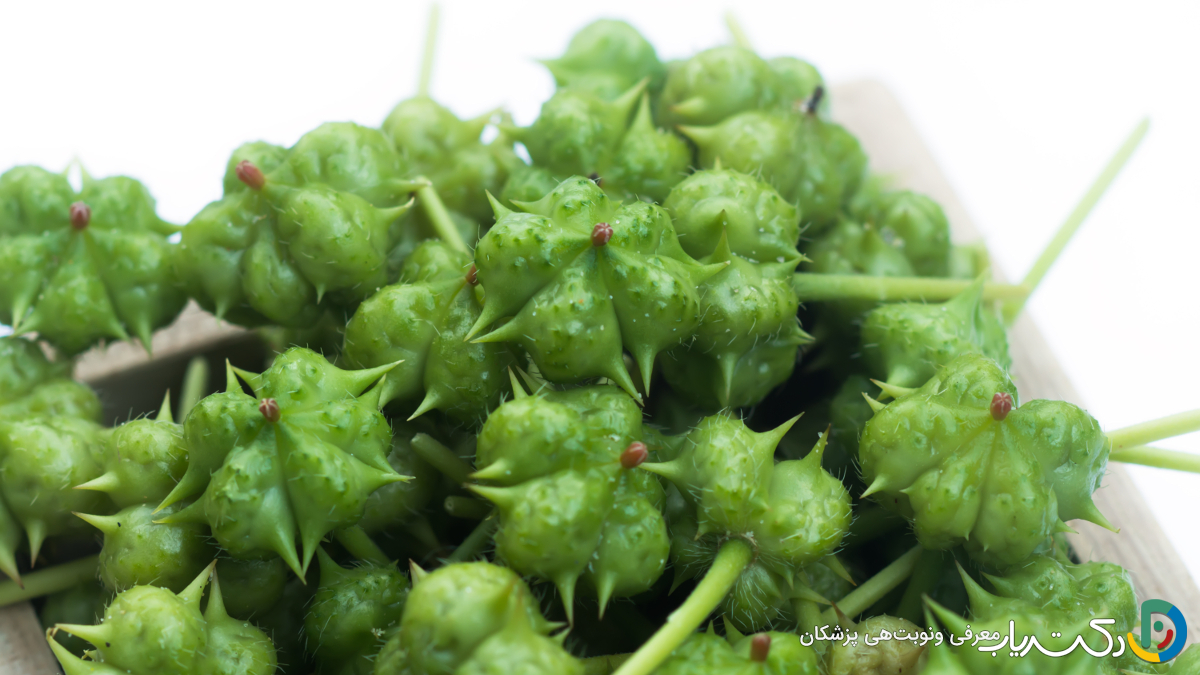 خواص خارخاسک برای کلیه