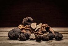 خواص دنبلان کوهی