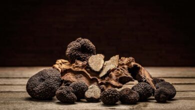 خواص دنبلان کوهی