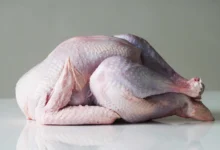 خواص گوشت بوقلمون برای معده