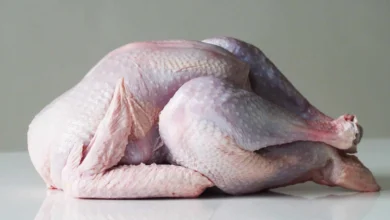 خواص گوشت بوقلمون برای معده