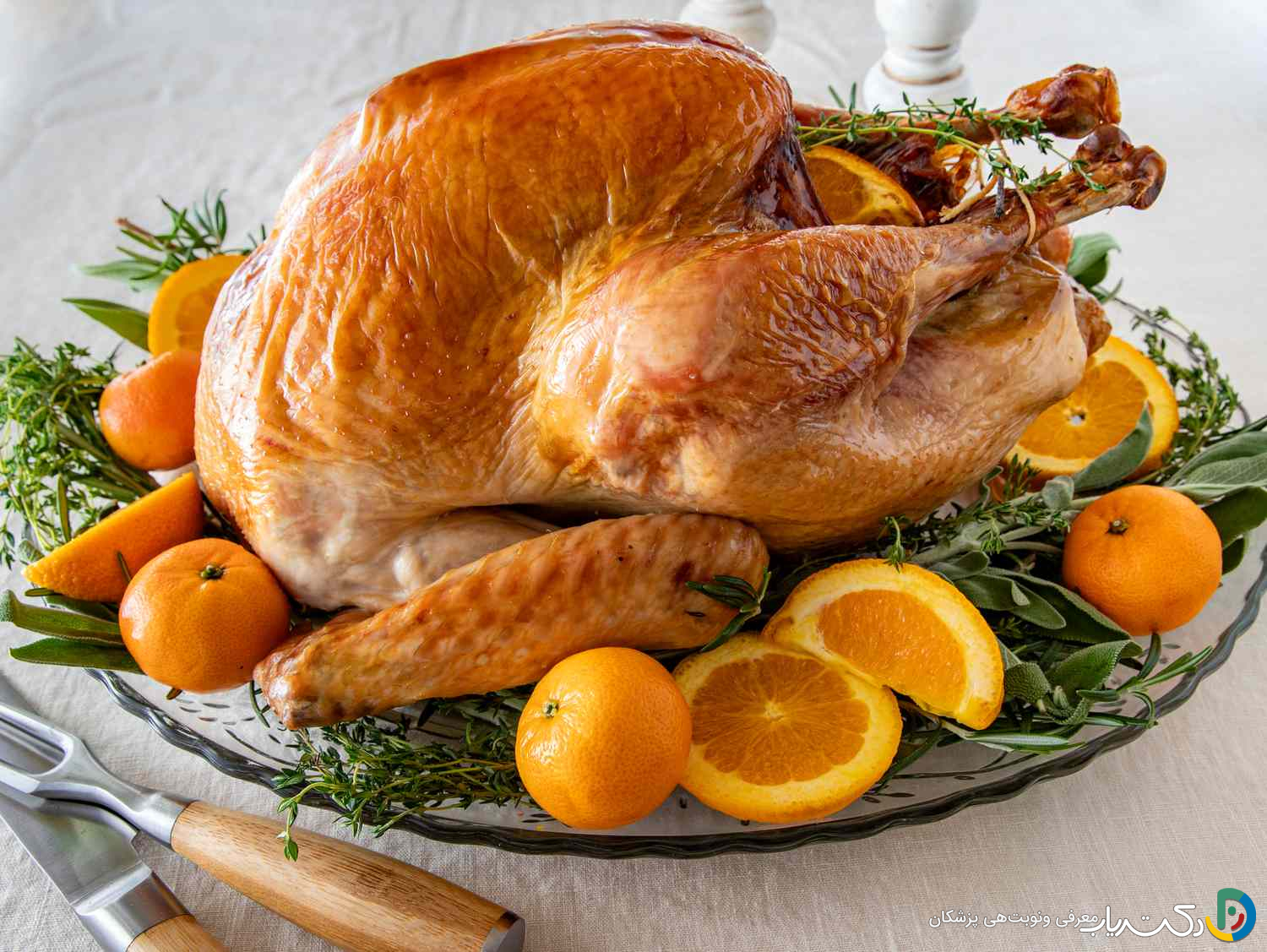 خواص گوشت بوقلمون برای کودکان