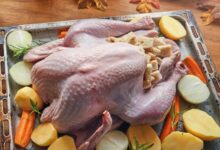 خواص گوشت بوقلمون برای زن باردار