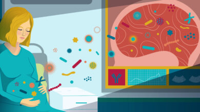 آیا اوتیسم در بارداری قابل تشخیص است ؟ راهنمای جامع مبتنی بر شواهد