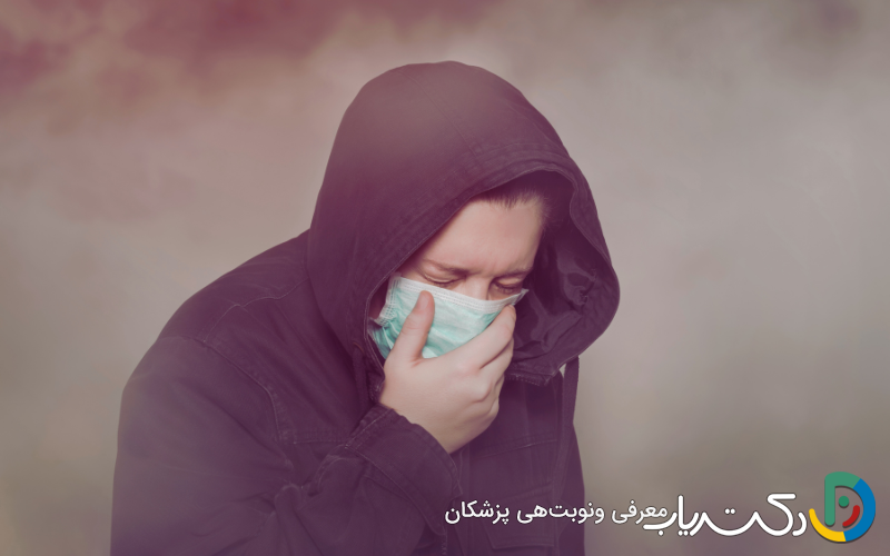 تأثیر مصرف میوه بر محافظت از ریه‌ها در برابر آلودگی هوا