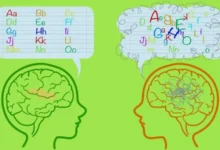 دیسلکسیا چیست؟ راهنمای کامل علائم، تشخیص و جدیدترین راهکارهای مدیریتی