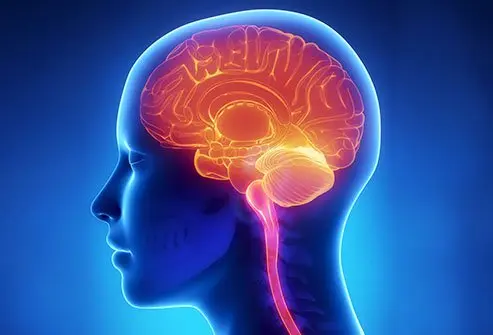 آیا بیماری ام اس (MS) واگیردار است؟ راهنمای کامل برای درک این بیماری خودایمنی