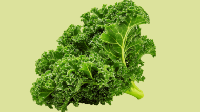 کلم پیچ برای چی خوبه؟ | فواید و نحوه مصرف