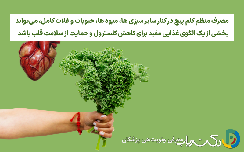 تاثیر کلم پیچ بر سلامت قلب و کاهش کلسترول