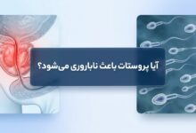 آیا پروستات باعث ناباروری میشود؟ (بررسی جامع رابطه سلامت پروستات و باروری)