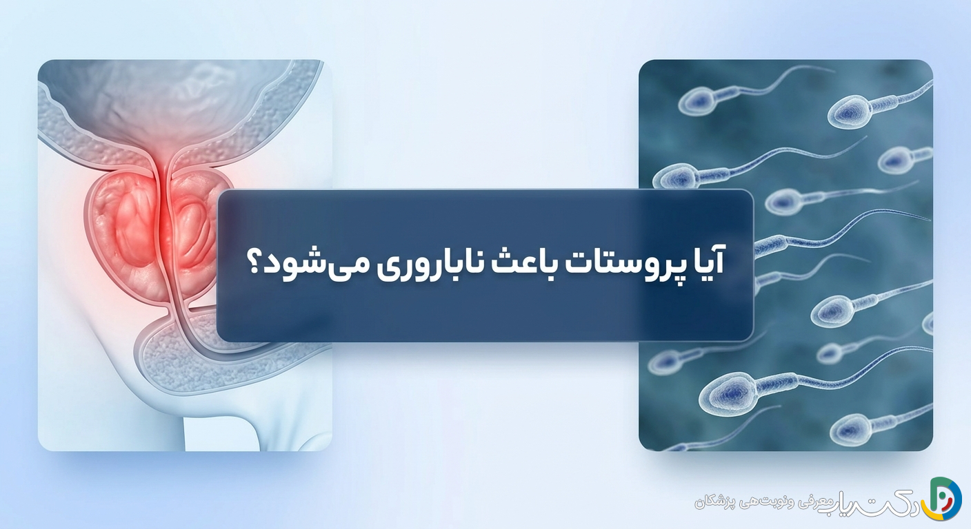 آیا پروستات باعث ناباروری میشود؟ (بررسی جامع رابطه سلامت پروستات و باروری)